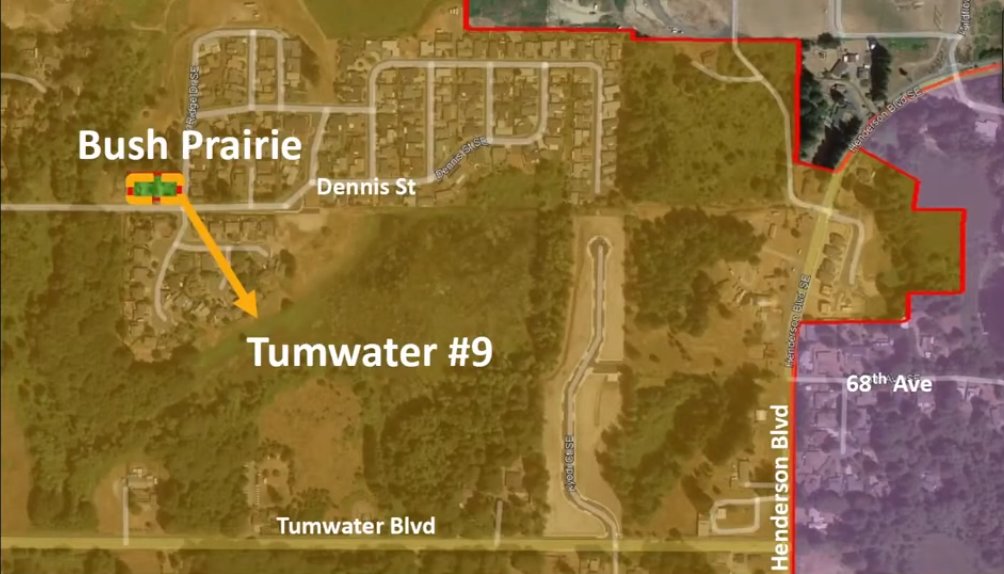 The Bush Prarie precinct would now be part of Tumwater 9, which would also be adjusted so that the portion east of Henderson Boulevard would be transferred to Tumwater 31 (violet zone).